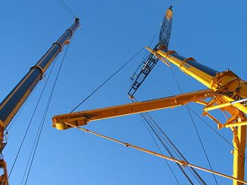  Photo: Courtesy of Tim Dean Consultancy Ltd